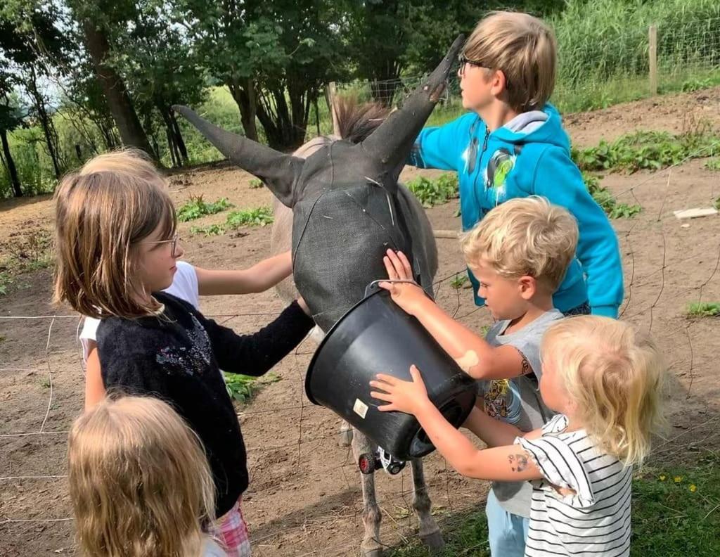 Ecolodge Beauregard Треньї Екстер'єр фото