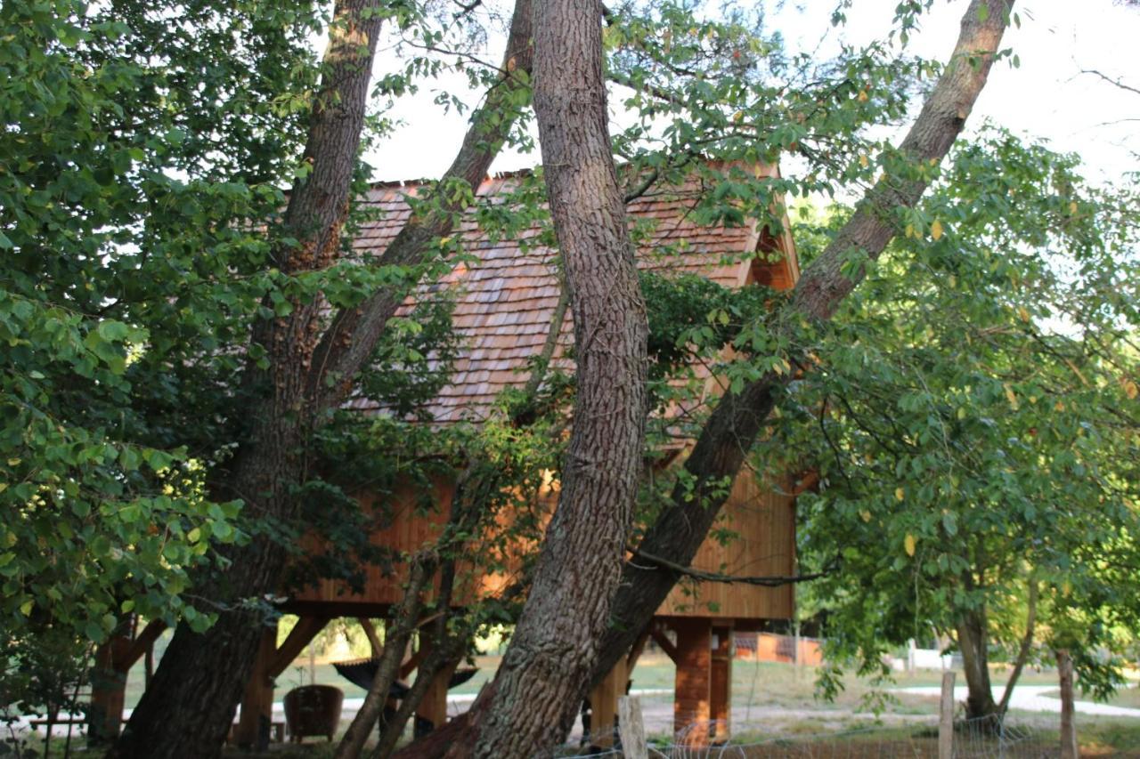 Ecolodge Beauregard Треньї Екстер'єр фото