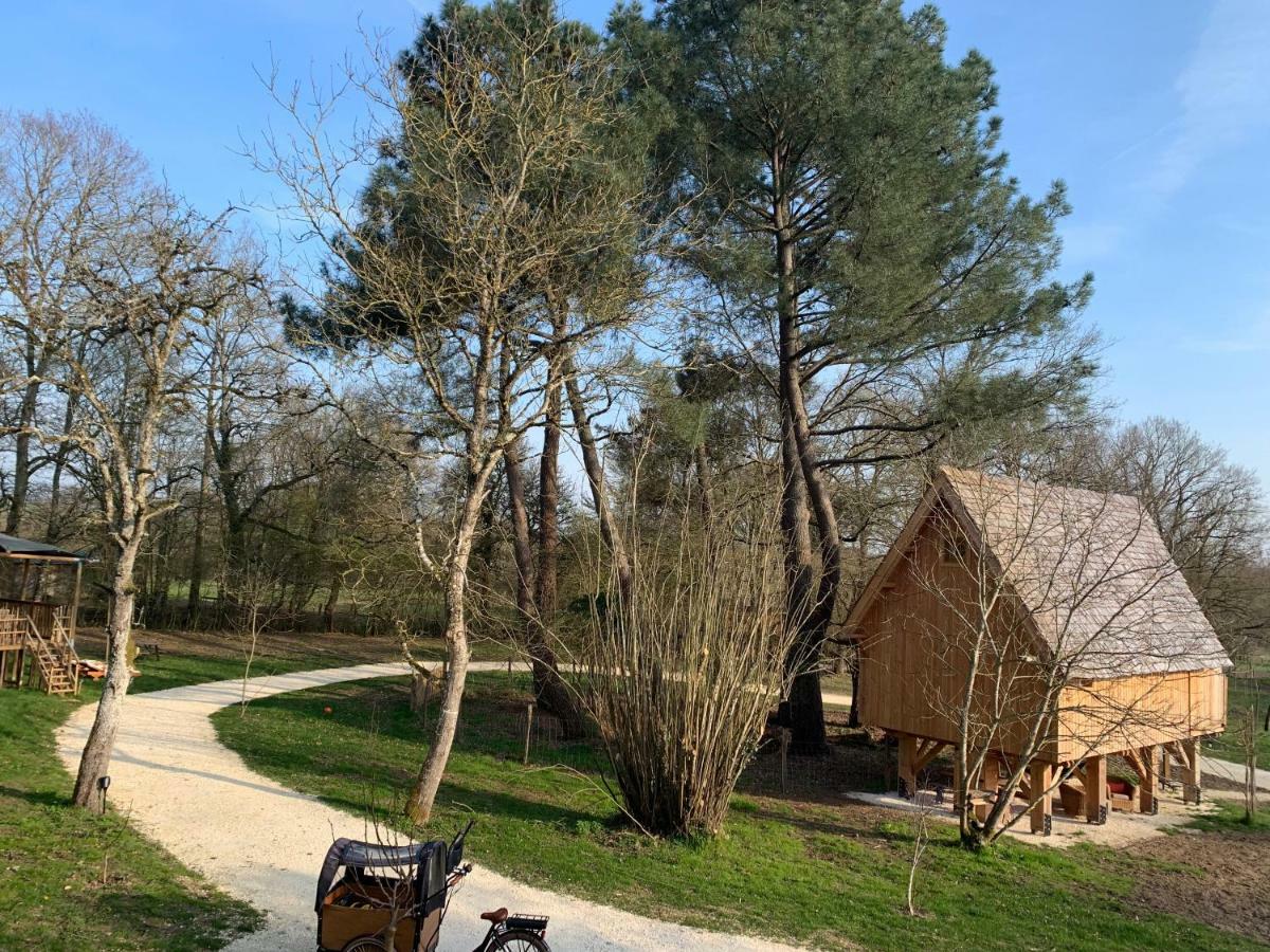 Ecolodge Beauregard Треньї Екстер'єр фото